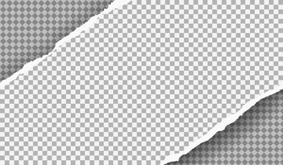 Piece of torn squared paper strip with soft shadow is on grey squared background. Vector illustration