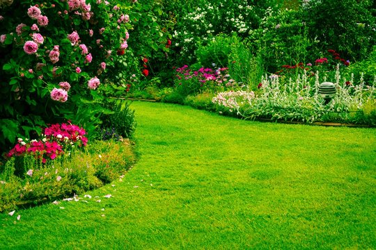 Garten mit Gr&uuml;nfl&auml;che