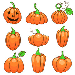 Set of colorful pumpkins. Different types of pumpkin. Halloween Jack o Lantern. Cartoon vegetables.