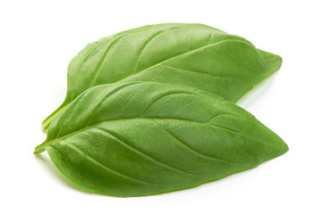 Fresh basil herb leaves, close-up, isolated on white background