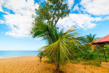Colorful shore in La Perle beach in Guadeloupe