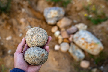 Fototapeta na wymiar Round stones held in the palm of your hand. Pebbles gathered on a nearby meadow.