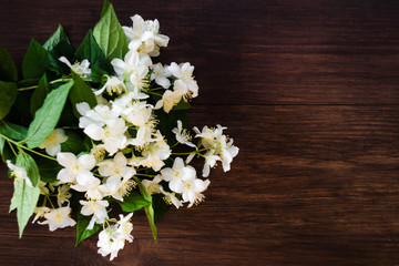 White Jasmine flowers with green leaves on dark brown wooden table. Flat lay, top view, copy space for text. Floral wallpaper concept