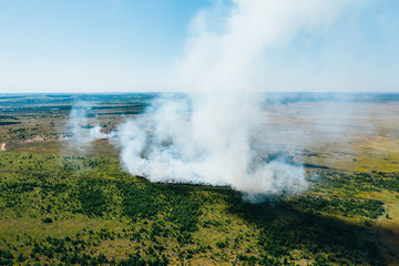 Fototapeta na wymiar Aerial view of wildfire in green fields from hot weather, natural disaster accident, burning forest and huge clouds of smoke