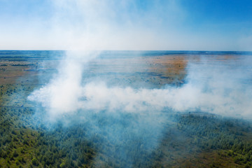 Aerial view of wildfire in green fields from hot weather, natural disaster accident, burning forest and huge clouds of smoke