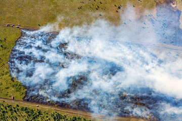 Obraz na płótnie Canvas Aerial view of wildfire in green fields from hot weather, natural disaster accident, burning forest and huge clouds of smoke