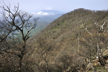 大室山の甲相国境尾根と富士山
