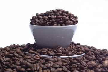 White cup with coffee beans on white background