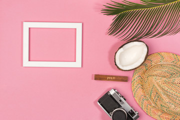 Summer vacation concept. stylish sunglasses, retro photo camera and green palm leaves on pink background, flat lay. space for text.