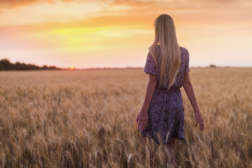 A girl in a dress walks across a wheat field at sunset.