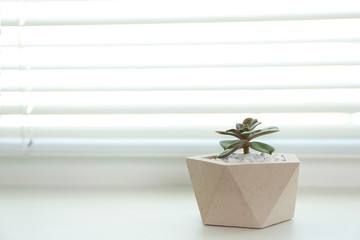 Window with blinds and potted plant on sill, space for text