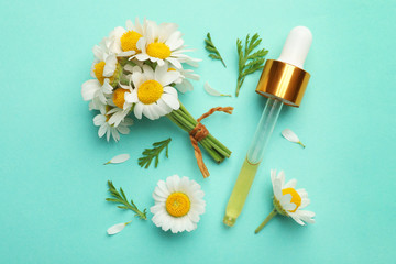 Flat lay composition with chamomile flowers and pipette of essential oil on color background