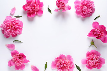 Frame made with fresh peonies on white background, top view. Space for text
