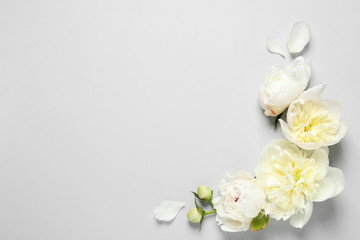 Naklejka na ściany i meble Beautiful peony flowers on grey background, top view