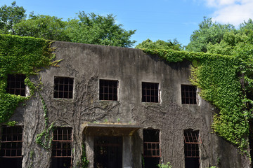 Fototapeta na wymiar 日本の広島県の大久野島の日本軍の工場の跡地の廃墟