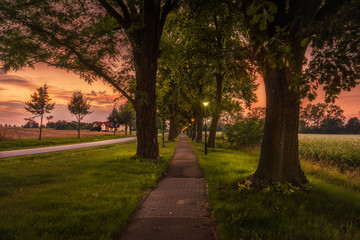 Fototapeta premium Sunset