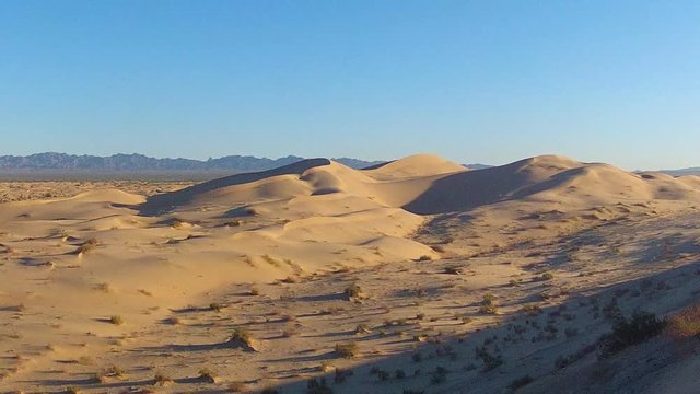 Desert Sand Dunes In Morning Light- Glamis California