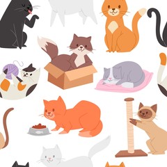Seamless pattern with cute tabby kittens. Cartoon character childish kitty. Great for fabric, textile vector illustration of cats playing, brown cat in the box, sleeping and washing siamese cat.