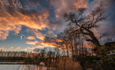 Obraz premium Sunset