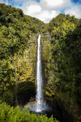 Beautiful jungle waterfall with rainbow at Akaka Falls State Park near Hilo Hawaii