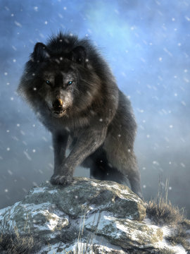 A large shaggy dire wolf bares its wicked teeth as it glares at you with deep blue eyes. The ice age predator growls and steps over snow covered rocks as it advances. 3D Rendering