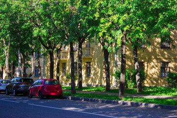 Obraz premium Quiet, calm, green area in the city center.