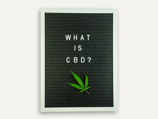 Letter board with What is CBD question with cannabis leaf on white background