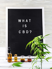 Letter board with What is CBD question with cannabis leaf and CBD oils on white background