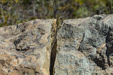 Close up of the cleft in volcanic rock and blurred green pine trees and plants in the bfckground. Teide National Park, Tenerife, Spain