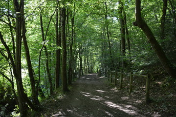 Saint-Herblain - Parc de la Chézine