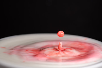 Splash of milk droplets in close up macro high resolution isolated against a black background