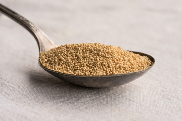 Amaranth on a Vintage Spoon