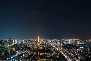 Fototapeta na wymiar Tokyo city at twilight, Japan