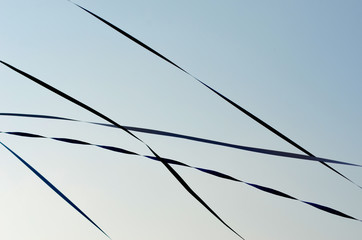 A close-up shot of paper streamers which have been thrown from a boat to the dock. They are dark blue, but appear almost black against a blue sky.
