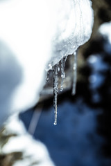 Icicles, frozen water icicles close up winter nature background, cold weather snowy season