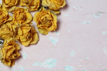 Dried flowers of yellow roses. On an old background with peeling paint.