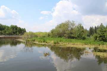 Calm On The Bay, Elk Island National Park, Alberta