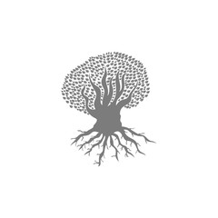 Fototapeta na wymiar tree oak logo design 