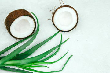 top view summer tropical cosmetics ingredients flat lay coconut and aloe vera