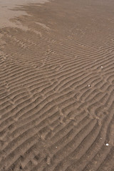 sandy beach on a clear day with wave ridge shaped patterns 