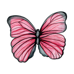  Watercolor illustration frame. Plants and butterflies. Design. Inviting. Greeting cards.