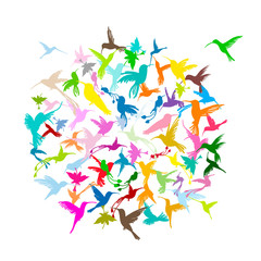 Colibri collection, sketch for your design