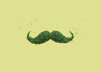 Green mustache from fir tree needles on green
