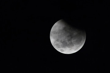 Naklejka premium The moon in solar eclipse in the southern hemisphere