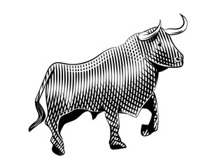 Bull Woodcut style line art illustration