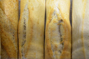 Different kinds of bread rolls on on baking paper from above. Kitchen or bakery poster design.