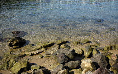 Stones at waterside with paw prints on sand