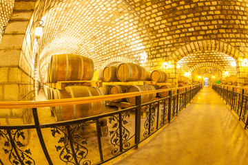  Wine Cellar with Wooden Barrels