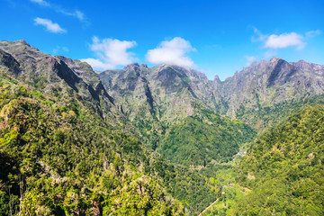 Fototapeta premium Beautiful valley view of Madeira island, mountains landscape of Levada da Ribeirs da Jaxela, Portugal