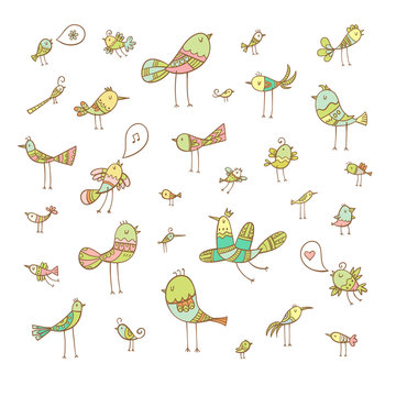 Cartoon birds set. Funny animals collection. Doodle style. Vector contour colorful  image.
